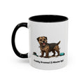 Freshly Groomed Mug - Border Terrier - Grizzle & Tan