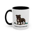 Freshly Groomed Mug - Staffordshire Bull Terrier - Brindle