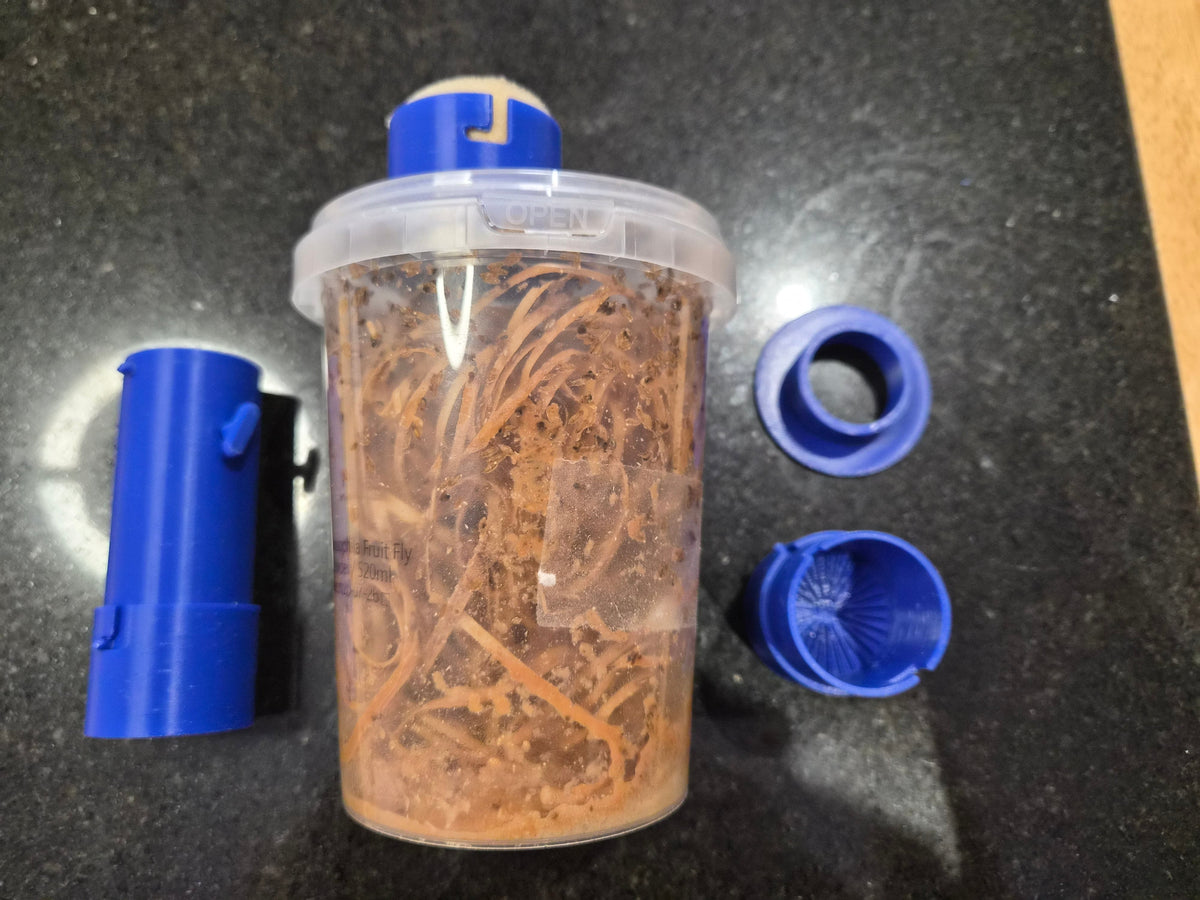 Fly dusting and slow feeding system for fruit flies