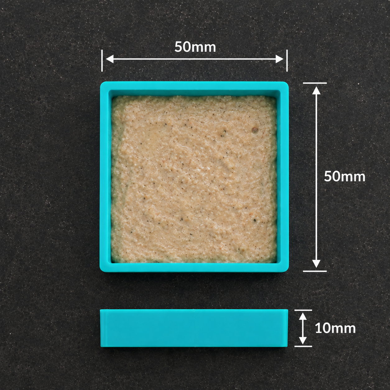 Reptile Feeding Dishes