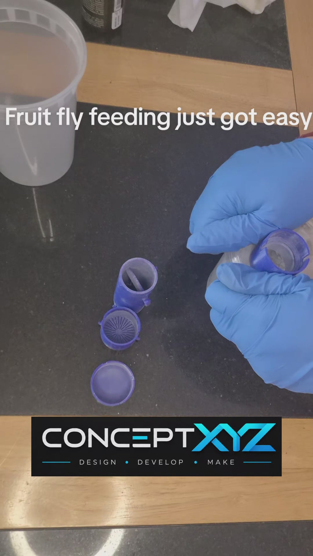 Fruit Fly Culture & Feeding System